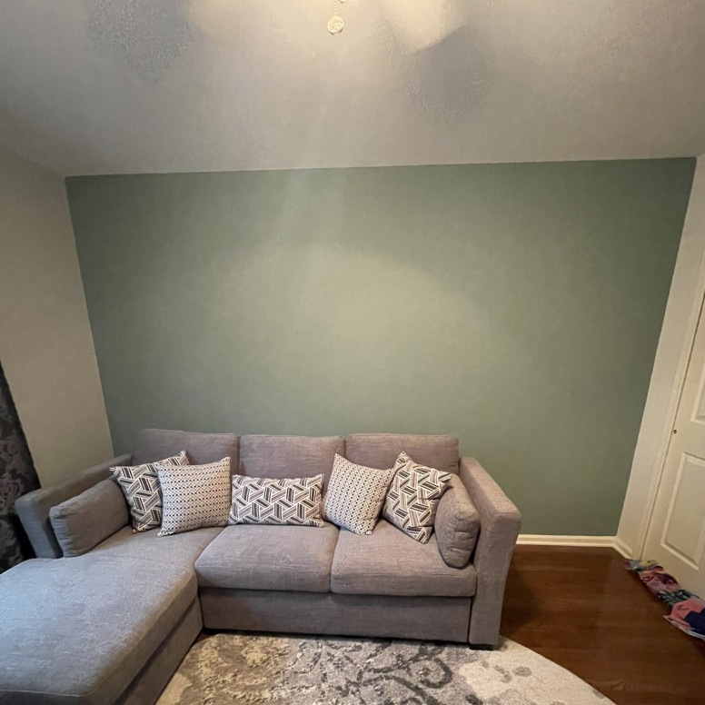 interior living room paint